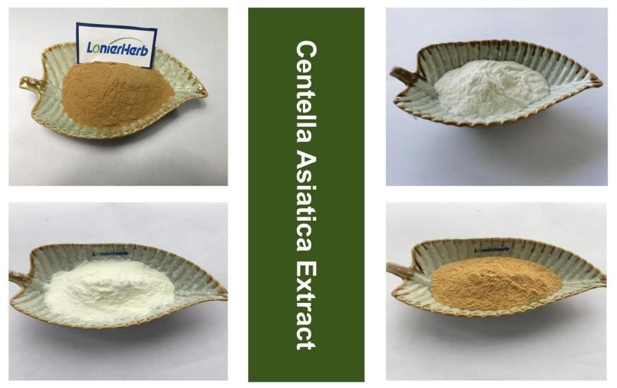 Centella Asiatica Extract Centella Asiatica Extract