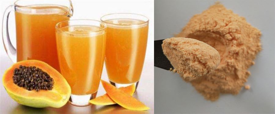 Papaya Fruit Powder