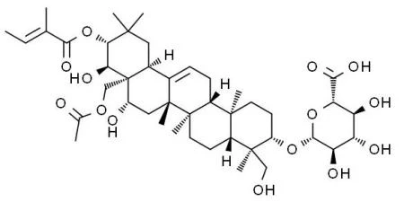 Gymnemic Acids,Gymnema Sylvestre Extract