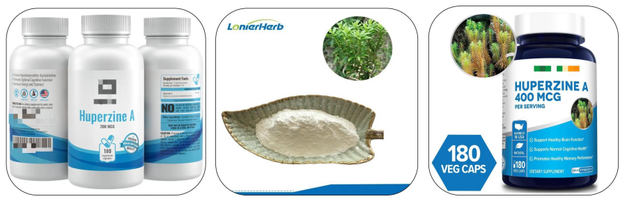 Huperzia Serrata Extract Powder,Huperzine A