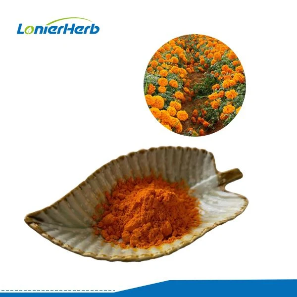 Lutein 5% پاؤڈر