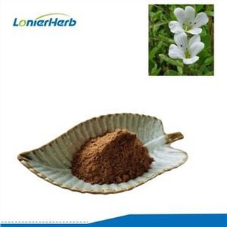 بیکوپا مونیری ایکسٹریکٹ پاؤڈر