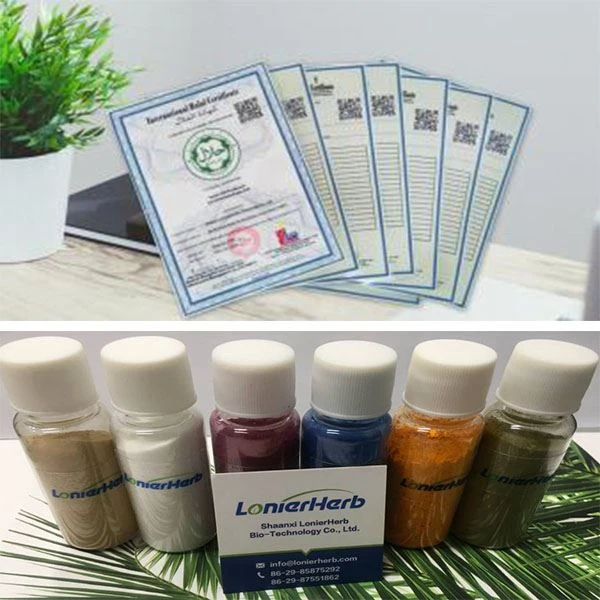 L Theanine Powder
