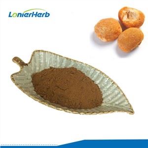 Hericium Erinaceus مشروم کا عرق